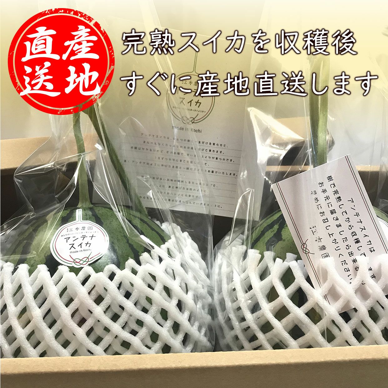 産地直送