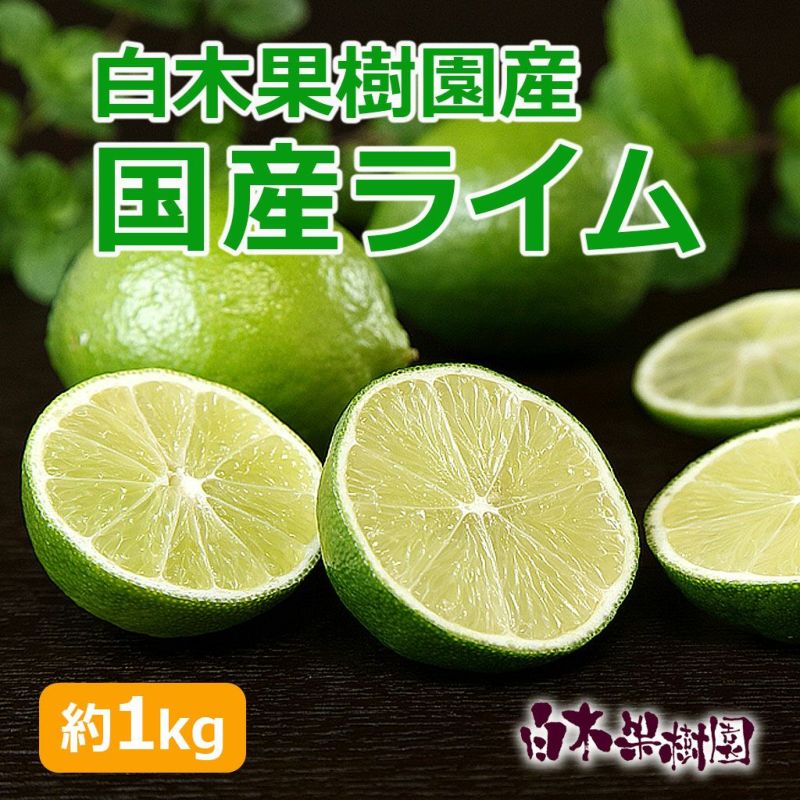 白木果樹園のライム　約1kg