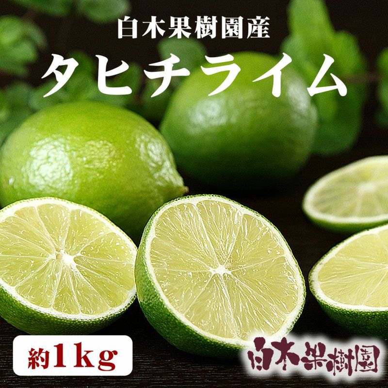 白木果樹園のライム　約1kg