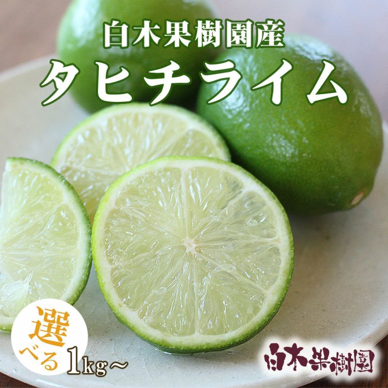 白木果樹園のライム