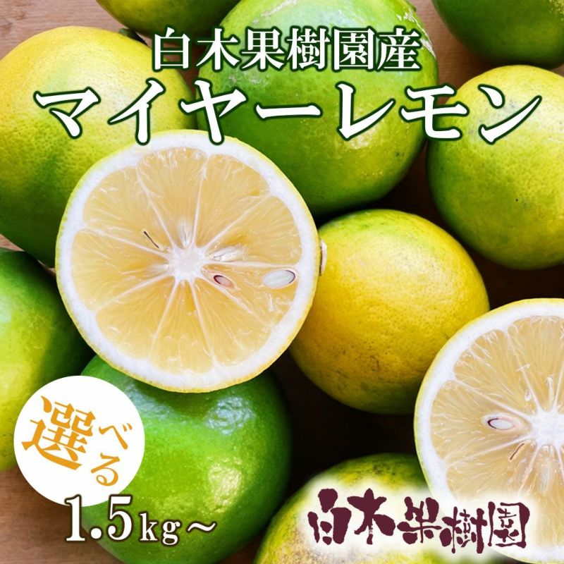 白木果樹園産マイヤーレモン