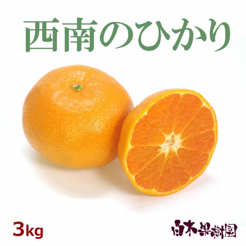 みはや　約4kg