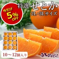 特選せとかご贈答用 2L・3Lサイズ