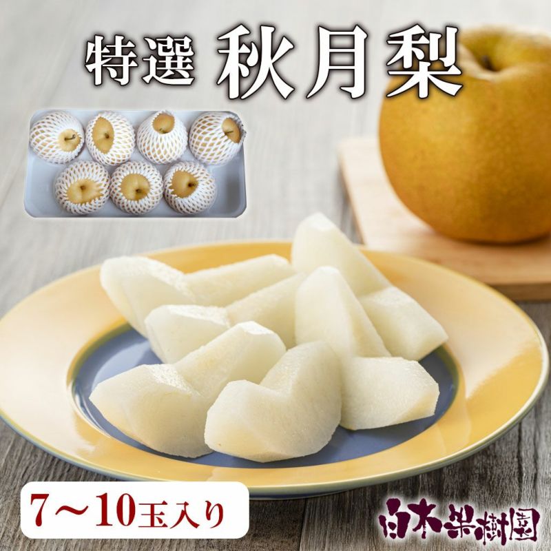 送料込】特選秀品秋月梨7～10玉入り（約4kg） | 白木果樹園