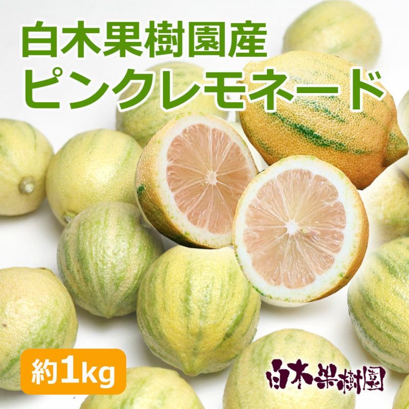 白木果樹園産ピンクレモネード　約1kg