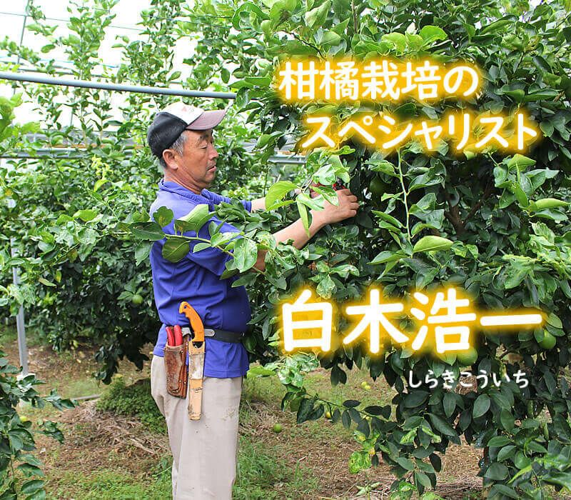 園主