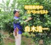 園主