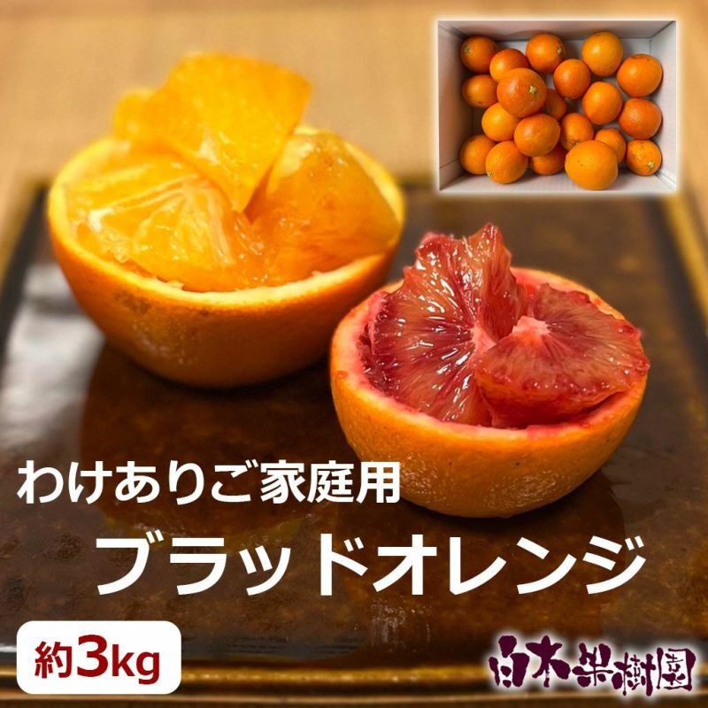 訳ありブラッドオレンジ　約3kg