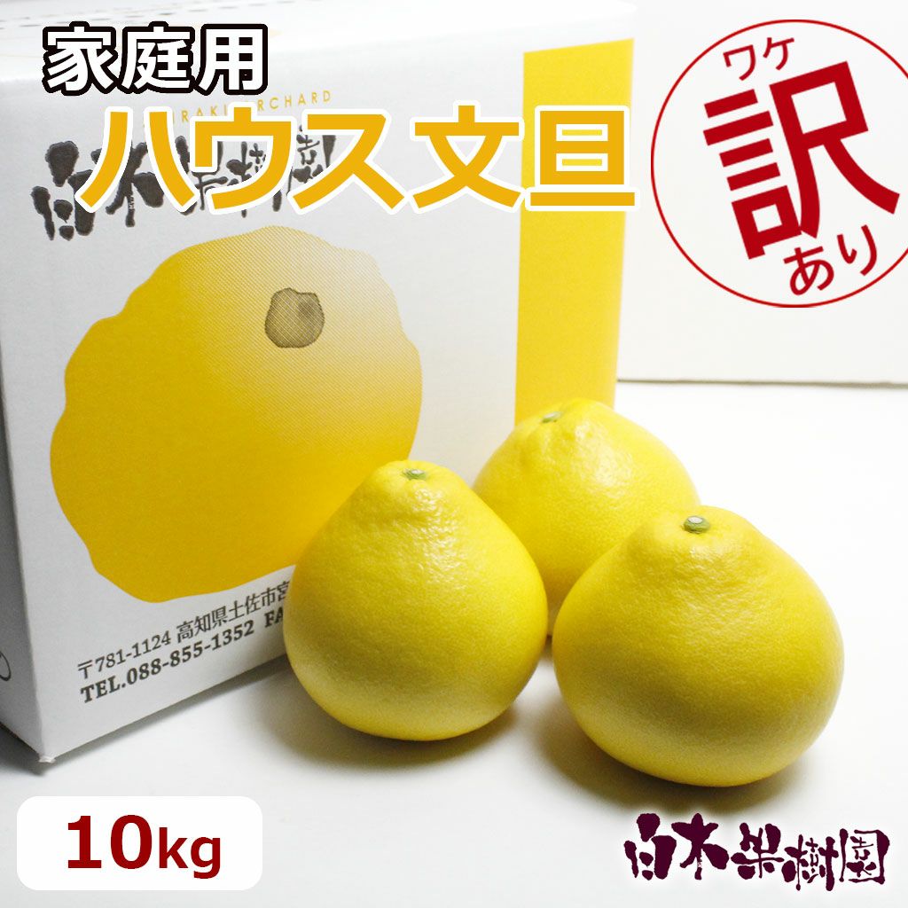 温室土佐文旦わけありハネモノ　約10kg