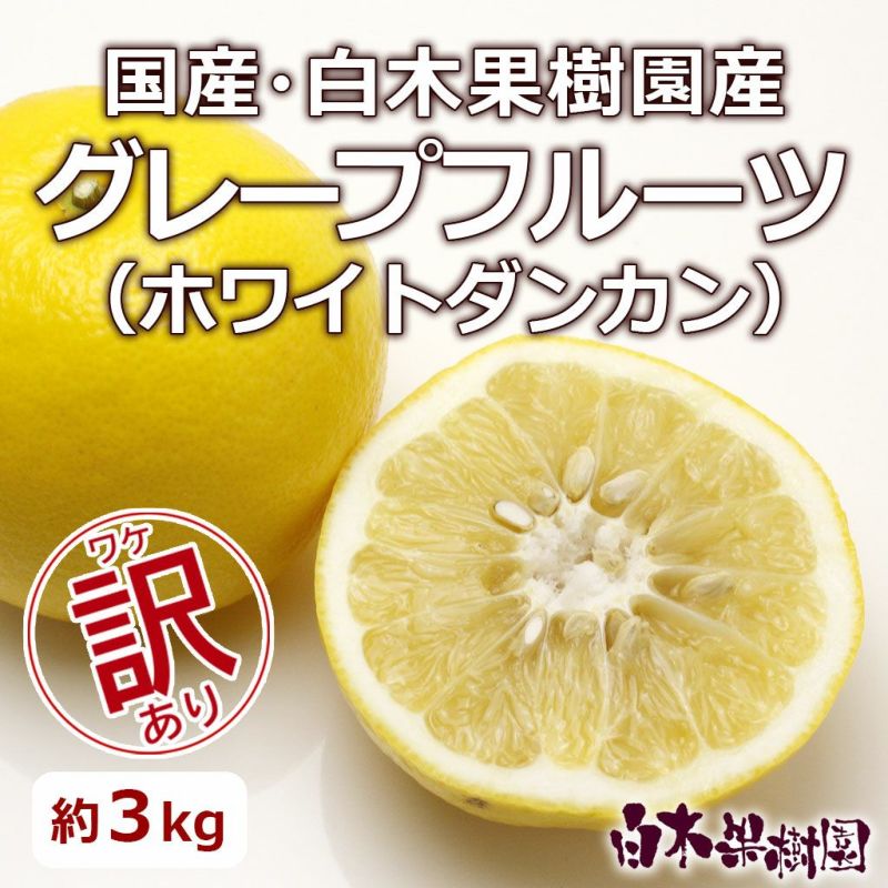 送料込】白木果樹園産グレープフルーツ（ホワイトダンカン） 訳