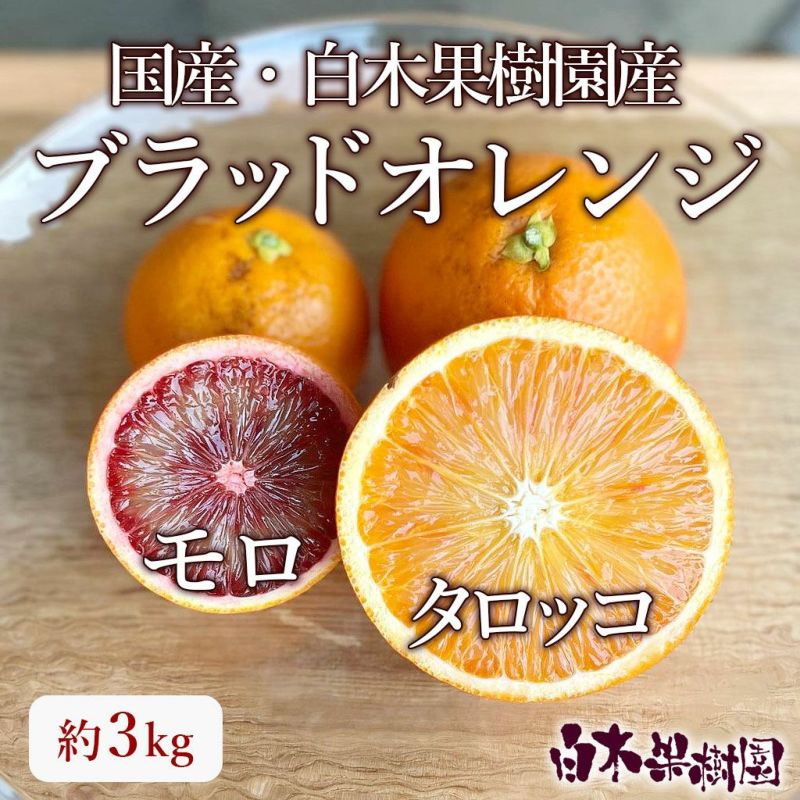 ブラッドオレンジ 秀品約3kg