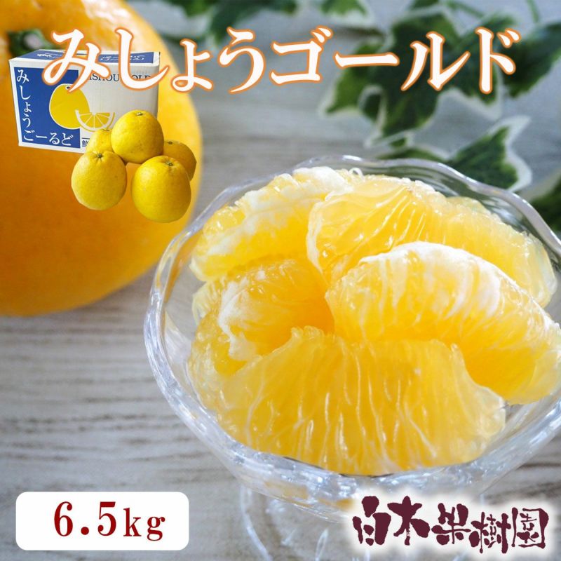 みしょうゴールド　約6.5ｋｇ