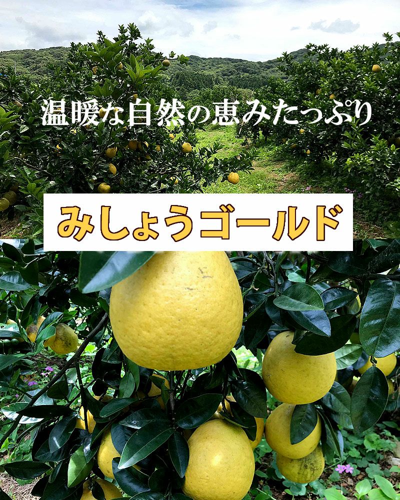 温暖な自然の恵みたっぷり