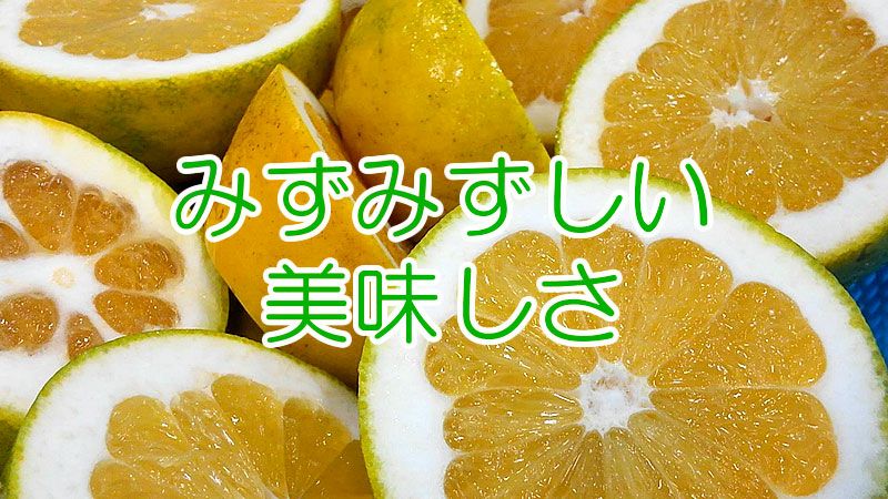 みずみずしい美味しさ