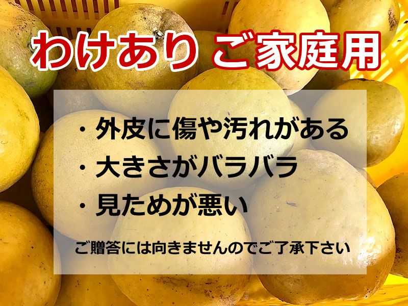 わけありご家庭用B級品