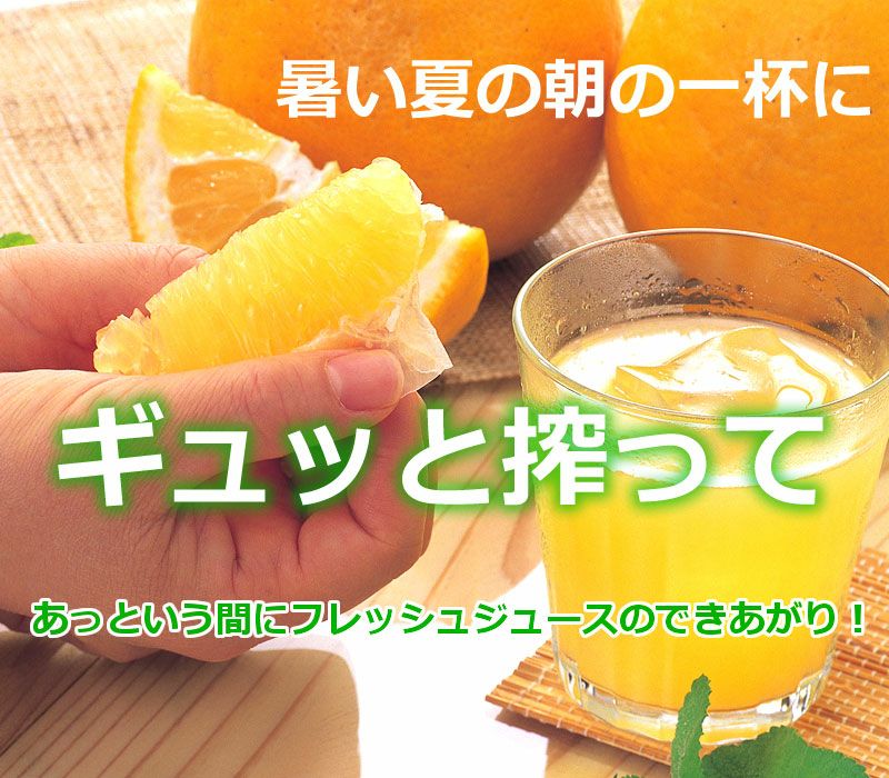暑い朝の夏の一杯に