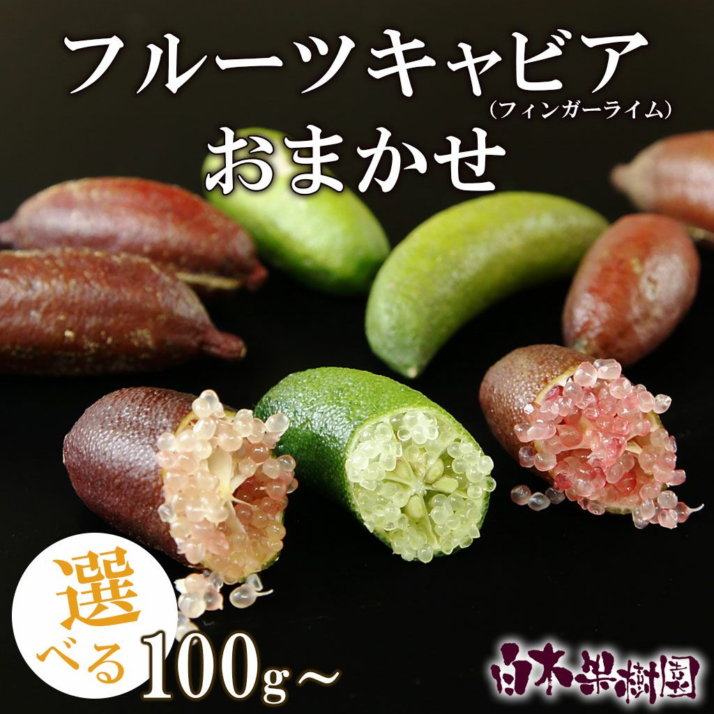 フルーツキャビア（フィンガーライム）（キャビアライム） おまかせ  