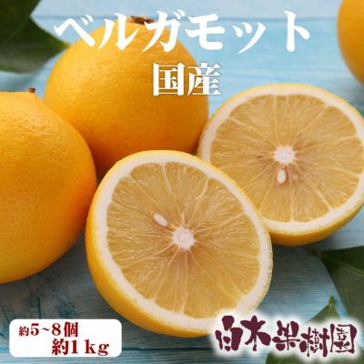 白木果樹園産ベルガモット　約1kg