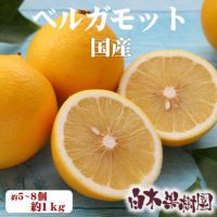 白木果樹園産ベルガモット　約1kg
