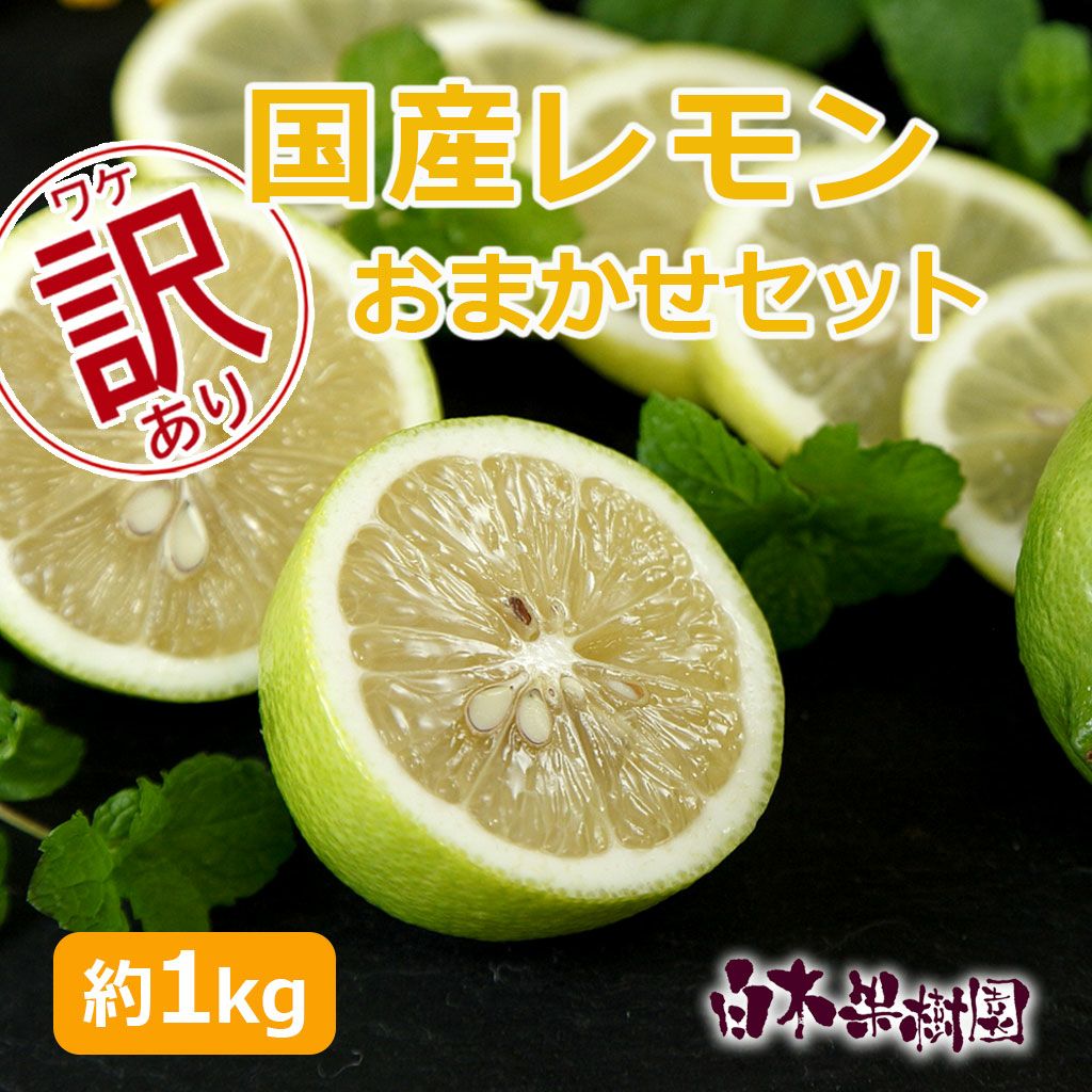訳あり白木果樹園産レモン　約1kg