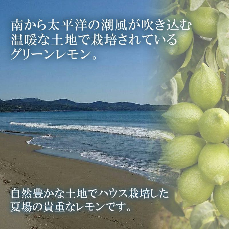 ハウス栽培