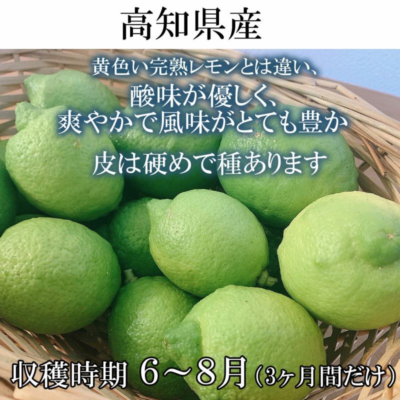 高知県産