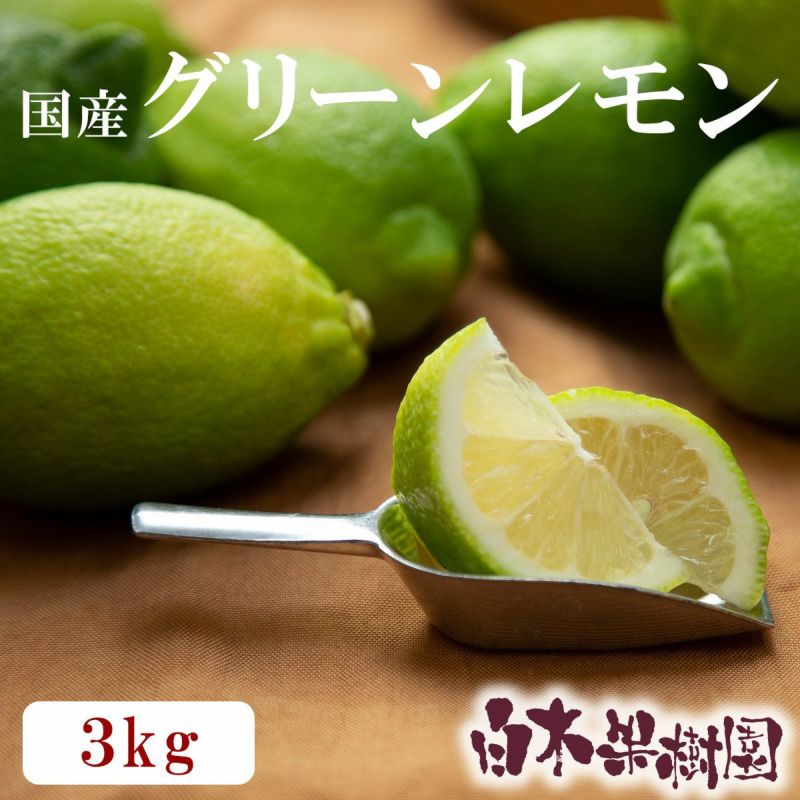 高知産グリーンレモン 約3kg