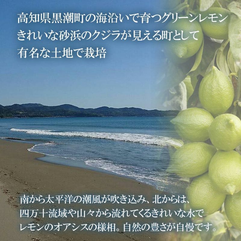 高知県黒潮町の海沿いで育つグリーンレモン