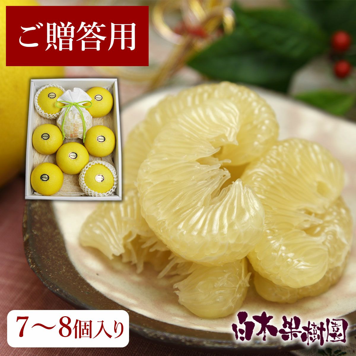 送料込】温室土佐文旦（ハウス文旦）贈答用 大箱 約5kg（7～8個入 