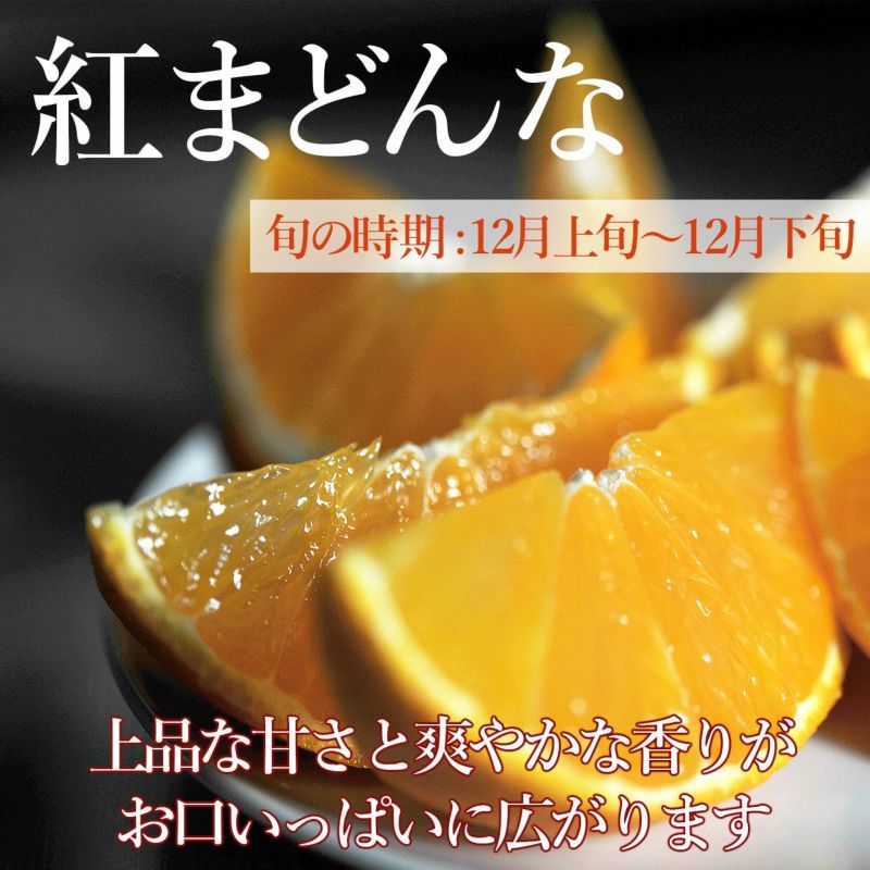 送料込】紅まどんなL～3Lサイズ | 白木果樹園