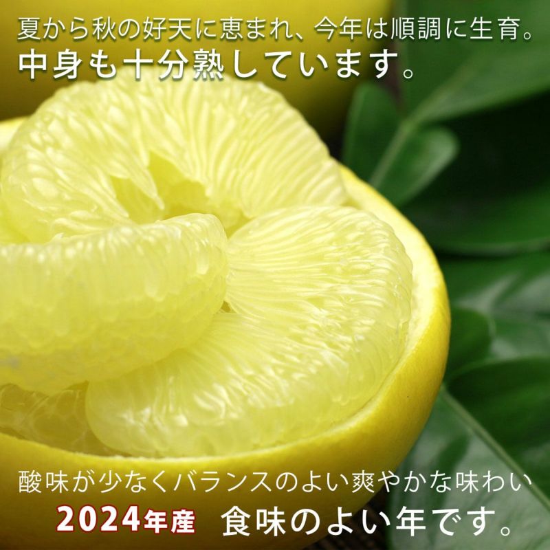 土佐文旦♪2L訳＆3L訳　ふなぷー 000000000402-03-l.jpg?t=