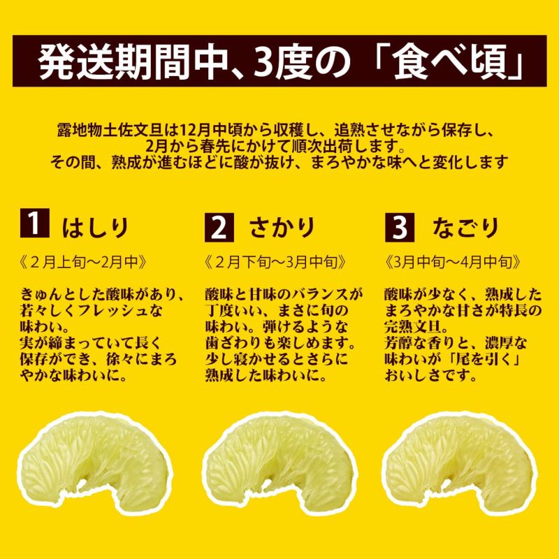 送料込】土佐文旦特選秀品3L大or4L特大約6kg | 白木果樹園 送料込】土佐文旦特選秀品3L大or4L特大約6kg | 白木果樹園