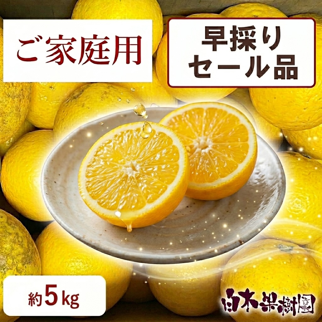 早採りわけあり小夏　ご家庭用セール品　約5kg