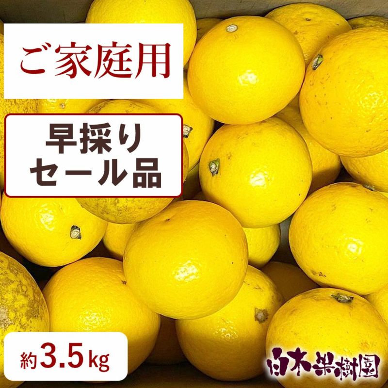 早採りわけあり小夏　ご家庭用セール品　約3.5kg
