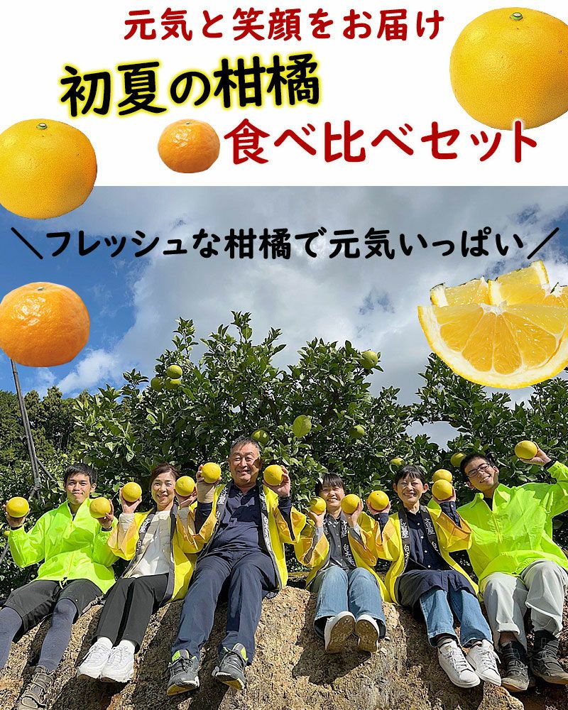 白木スタッフ
