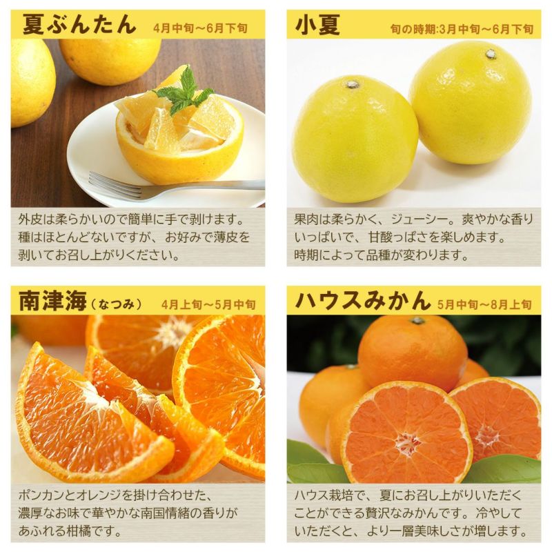 小夏