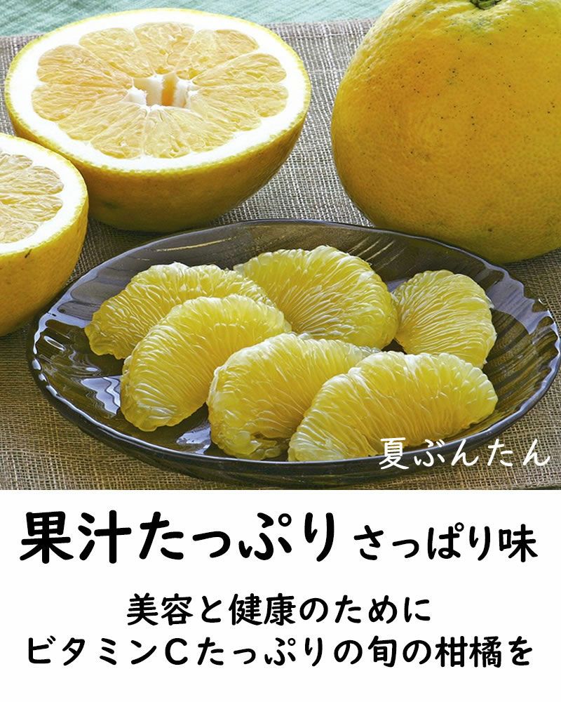 夏ぶんたん