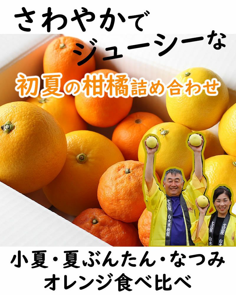 詰め合わせ
