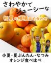 詰め合わせ