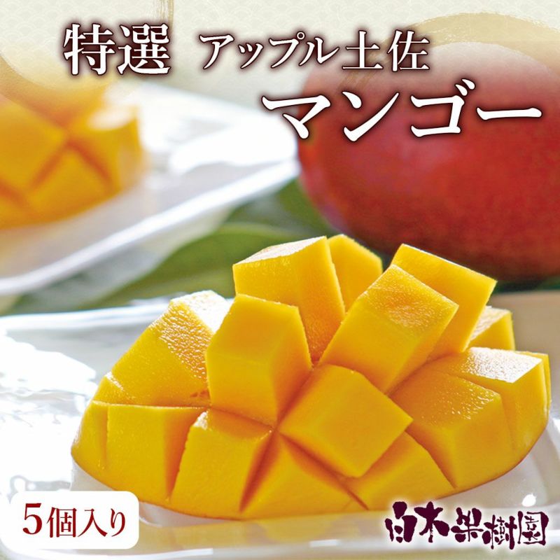 特選アップル土佐マンゴー 秀品・化粧箱（5個入り）