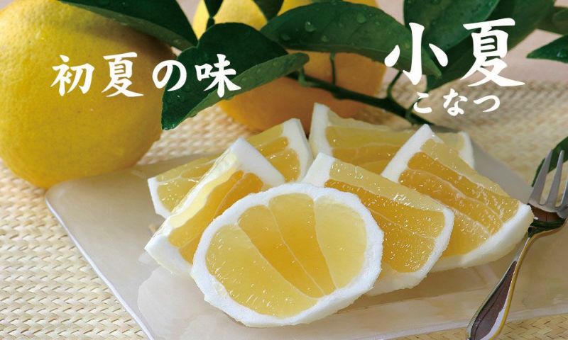 小夏とハウスみかんセット【送料込】 | 白木果樹園