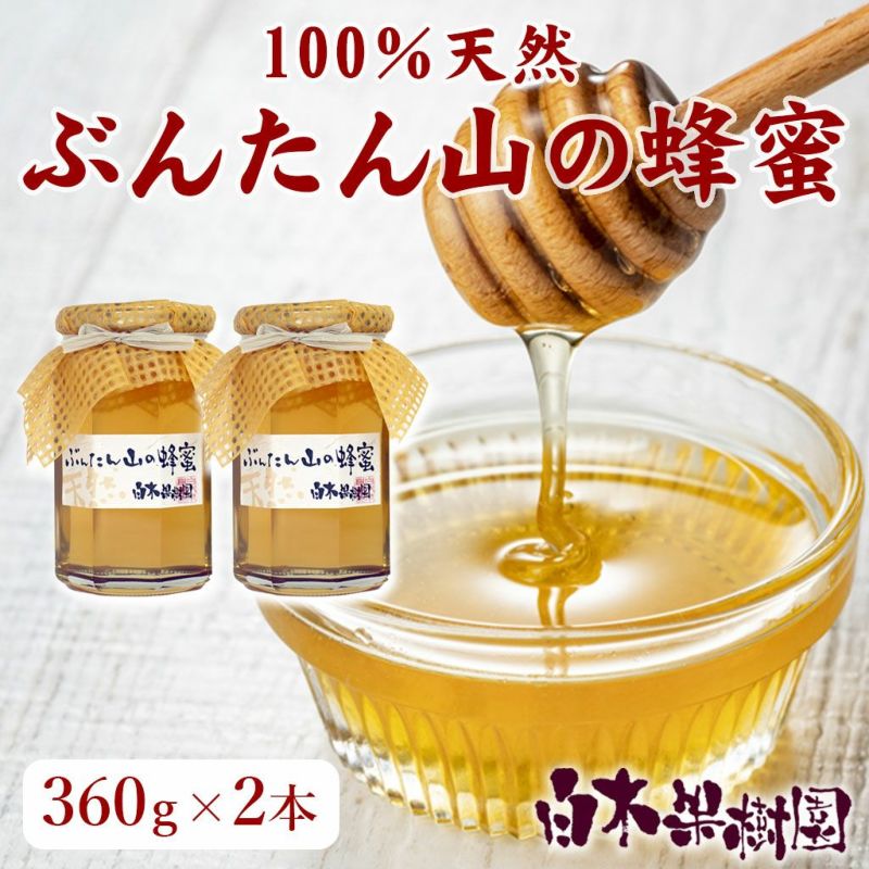 ぶんぶんたん山の蜂蜜 360g 2本入り