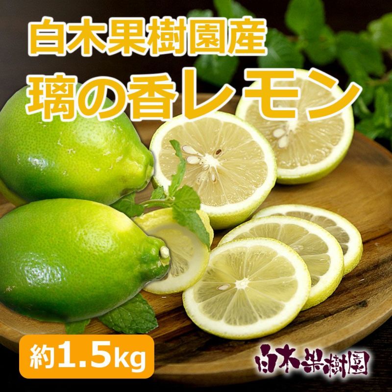 白木果樹園産 璃の香レモン 約1.5kg