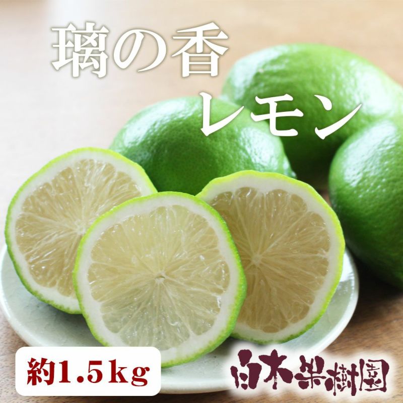 白木果樹園産 璃の香レモン 約1.5kg