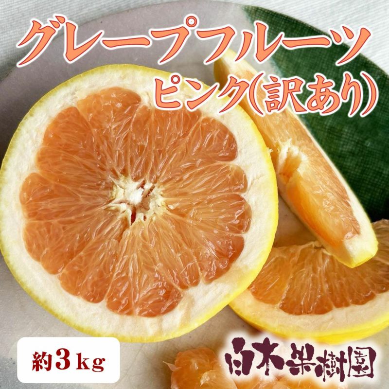 白木果樹園産グレープフルーツ（ピンク）　訳ありご家庭用B級品