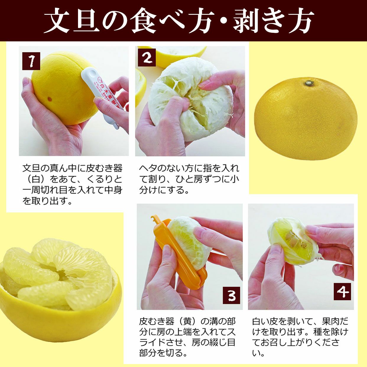 温室土佐文旦（ハウス文旦）贈答用特大2個入り【送料込】 | 白木果樹園