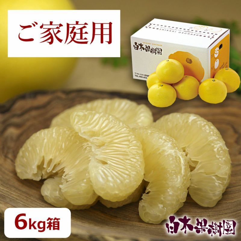 温室土佐文旦　お得箱約6kg　（小玉～大玉混合）