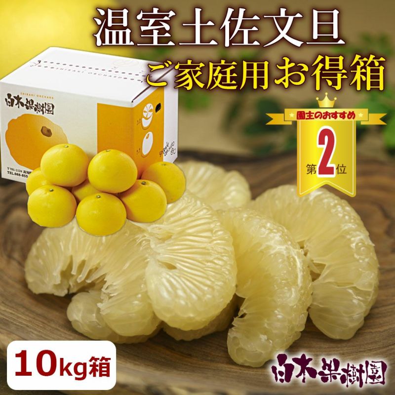 送料込】温室土佐文旦（ハウス文旦）お得箱約10kg（中玉～特大混合