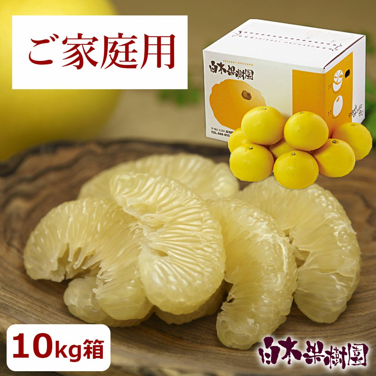 送料込】温室土佐文旦（ハウス文旦）お得箱約10kg（中玉～特大混合 