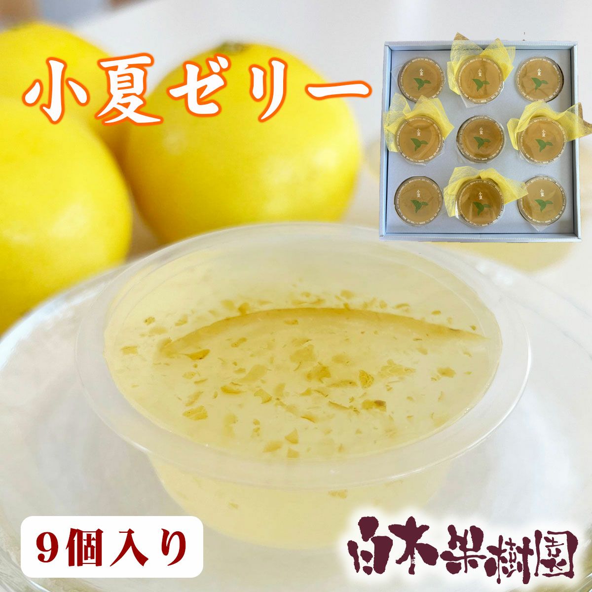 小夏ゼリー9個化粧箱入り